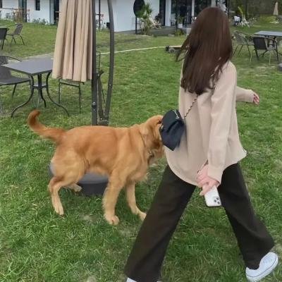 红尘囧探刘小唐